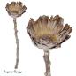 Preview: Protea Rosette klein, raureif