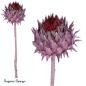 Preview: Cynara Flower, brombeer/raureif
