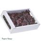 Preview: Protea Rosette, brombeer/raureif, 8-9cm