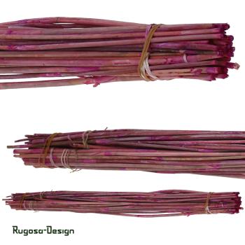 Reed-Stäbe, erika/raureif