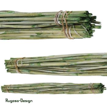 Reed-Stäbe, grün/raureif
