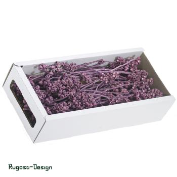 Preview: Ambernuts-Zeig, brombeer/raureif