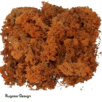 Islandmoos, orange, 500gr.