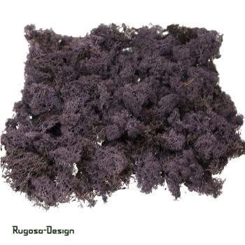 Islandmoos, purple, 500gr.