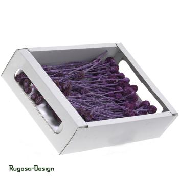 Sabulosum-Zweig, brombeer/raureif, 4-6köpfig