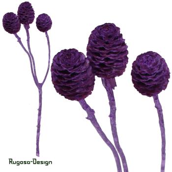 Sabulosum-Zweig, brombeer/raureif, 4-6köpfig