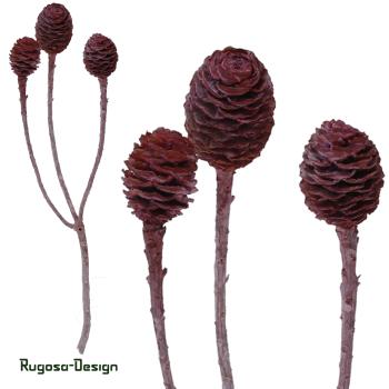 Sabulosum-Zweig, dunkelrot/raureif, 4-6köpfig