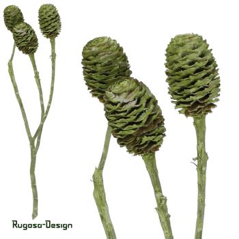 Sabulosum-Zweig, lime/raureif, 4-6köpfig