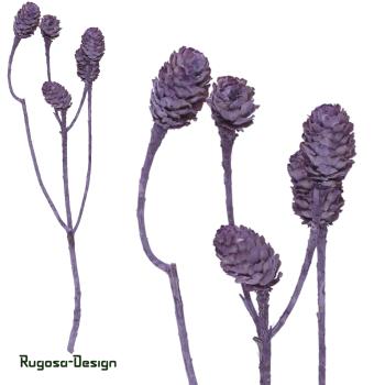 Salignum-Zweig, brombeer/raureif, 7+ Zapfen