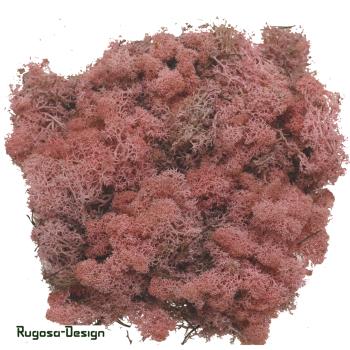 Islandmoos, rosa, 500gr.