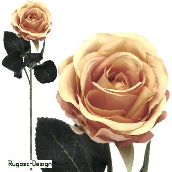 Rose Madame, apricot, 37cm
