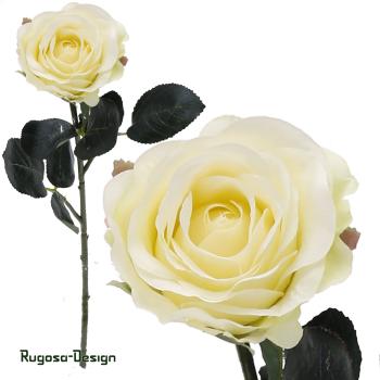 Rose Madame, cremeweiß, 37cm