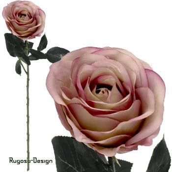 Rose Madame, mehrtonrosa, 37cm