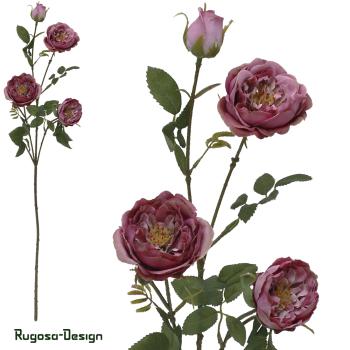 Seiden-Rosenzweig, brombeer, 65cm