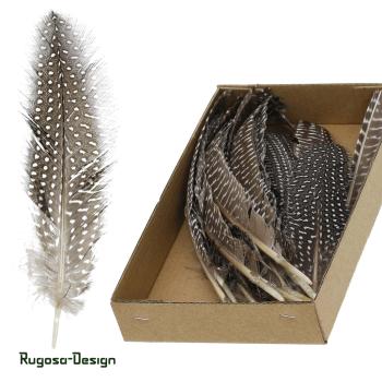 Perlhuhn-Federn lang, natur, L 18cm