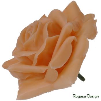 Wachsrose, apricot, d 10cm