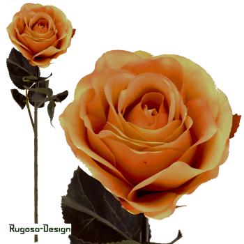 Rose Madame, orange/pink, 37cm