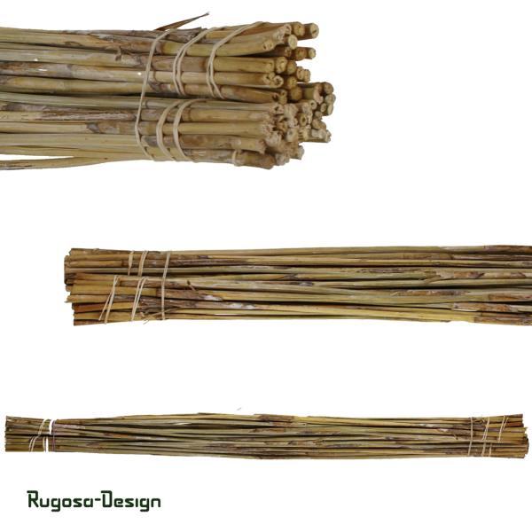 Reed-Stäbe, raureif