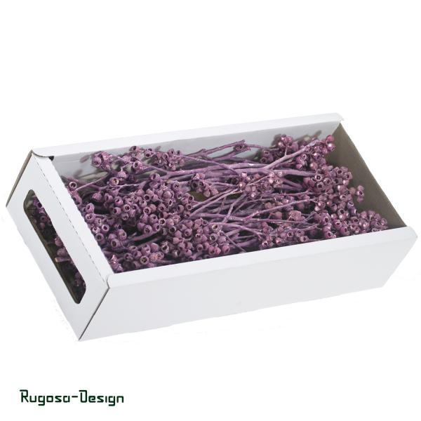 Ambernuts-Zeig, brombeer/raureif