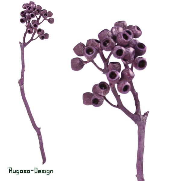 Ambernuts-Zeig, brombeer/raureif