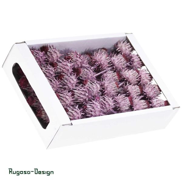 Cynara Flower, brombeer/raureif