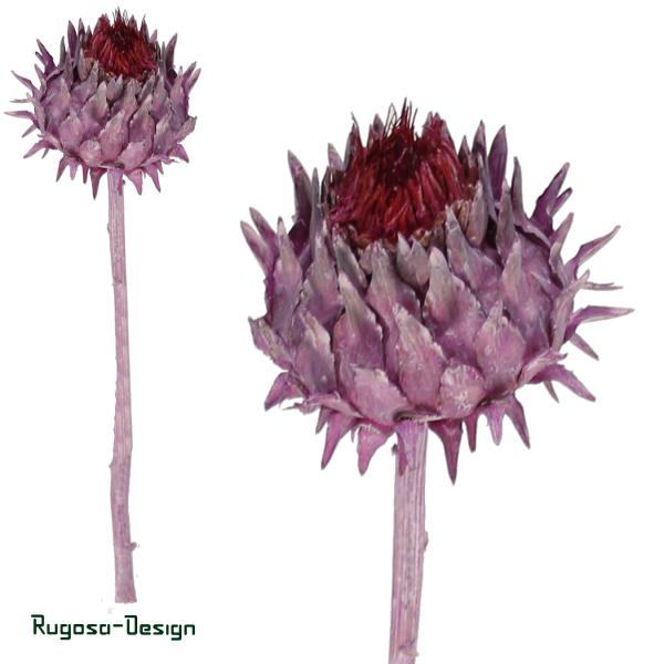Cynara Flower, brombeer/raureif