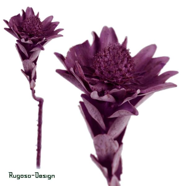 Nervosum, brombeer/raureif, 50/P