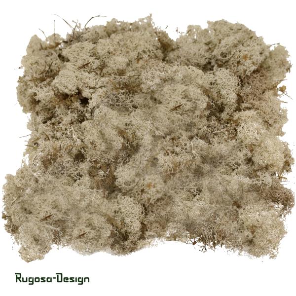 Islandmoos, natur, 500gr.