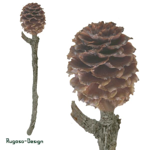 Glabrum-Zweig, raureif