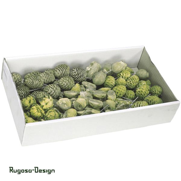 Leucodendron-Sortiment am Draht, lime/raureif