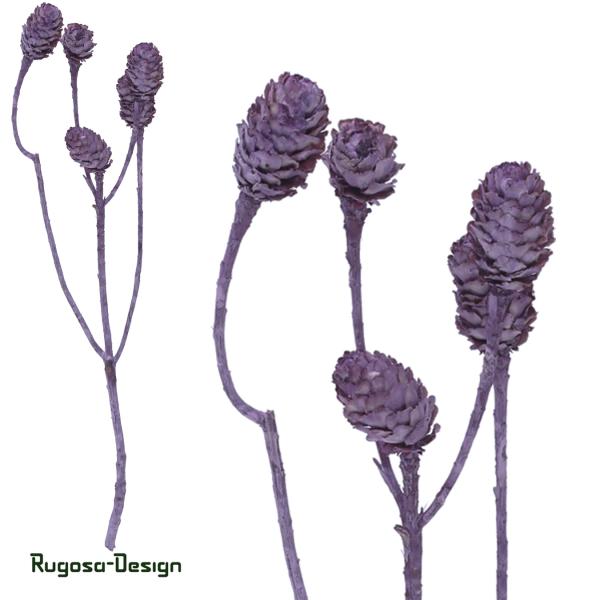 Salignum-Zweig, brombeer/raureif, 7+ Zapfen