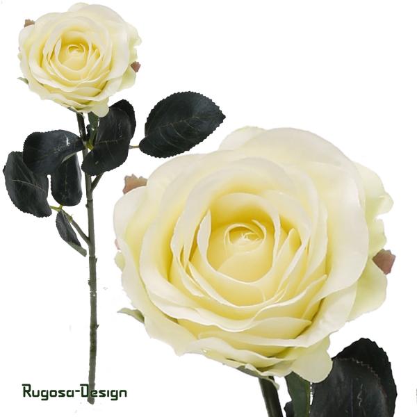 Rose Madame, cremeweiß, 37cm