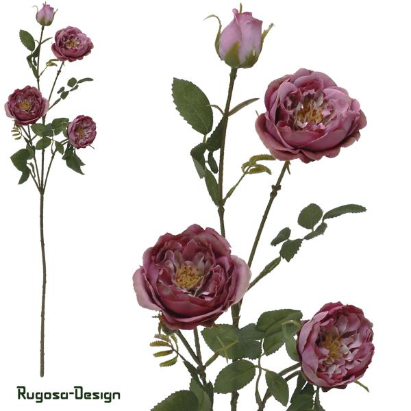 Seiden-Rosenzweig, brombeer, 65cm
