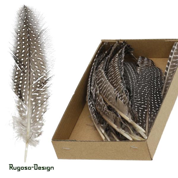 Perlhuhn-Federn lang, natur, L 18cm